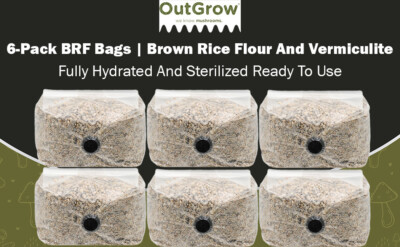 BRF Bags Brown Rice Flour Based Mushroom Substrate (6 pack)