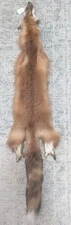 Tanned Eastern RED Fox pelt~Nice Fur No 2 Pelt~ Cabin Craft~Soft Hide
