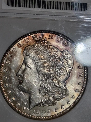 1902 O $1 Morgan Dollar ANACS MS62 "Soapbox" Toned #508483