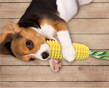 Dog Corn Chew Squeak Toothbrush Cleaning Teeth Interactive Toy Chewer