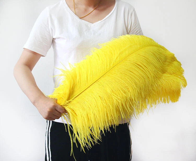 lasenersm 50 Pieces Decoration Ostrich Feathers 6-8 inch (15-20 cm) High Simulation Artificial Ostrich Feathers for Wedding Theme Party Cosplay Home