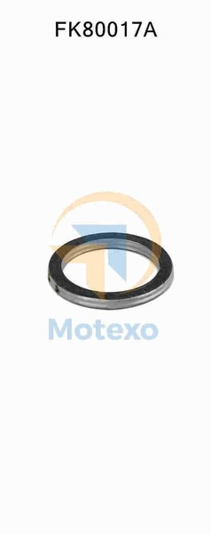 FK80017A Katalysator Montagesatz Opel Corsa 1.7 2/1996 --image