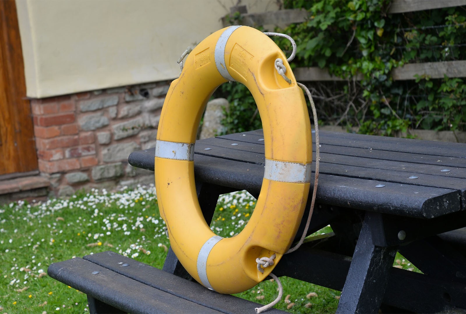 Foto 7 di 9