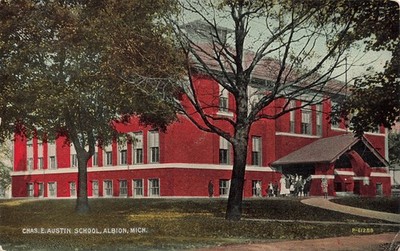 *Postcard ~ Albion Michigan, Chas. E. Austin School, Children in Front