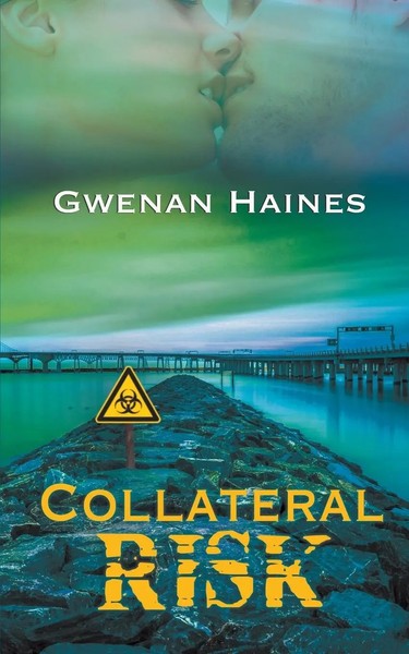 Gwenan Haines | Collateral Risk | Taschenbuch | Englisch (2017)-image