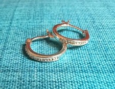 Small Hoop Silver Plated Earrings with Cubic Zirconia