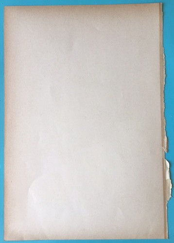 Stampa Antica Incisione - Anatomia Umana - Craniologia - 1888 - Foto 4 di 4