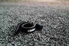 EVO QUICK RELEASE SEAT POST CLAMP BLACK ALUMINUM 28.6MM Black — photo 2