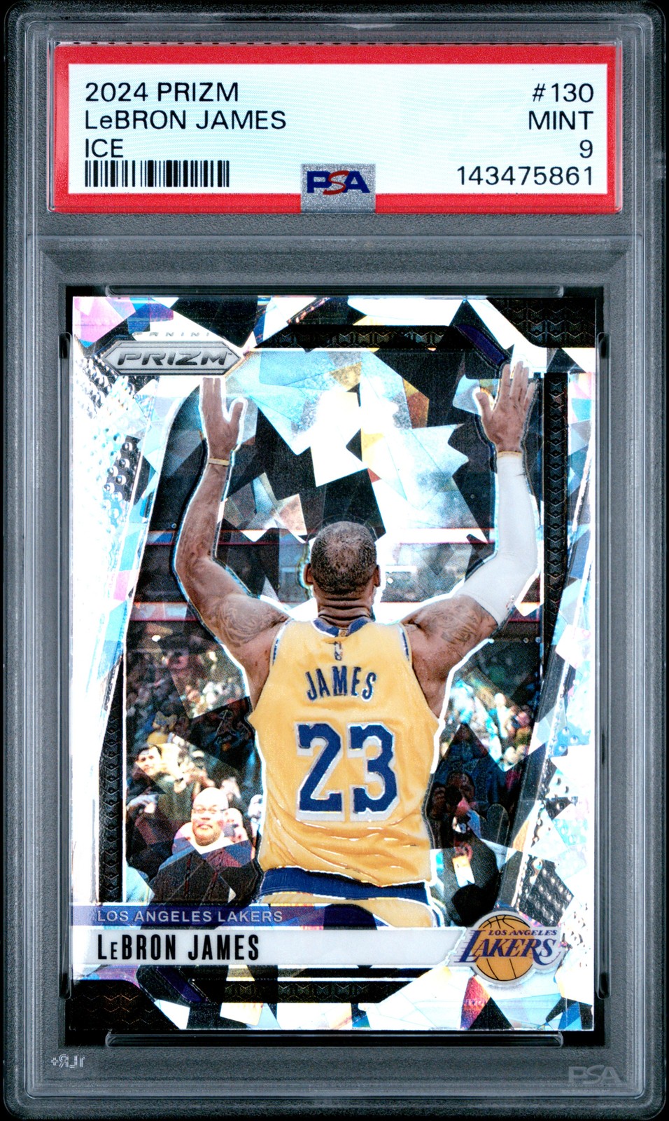 LeBron James Ice #130