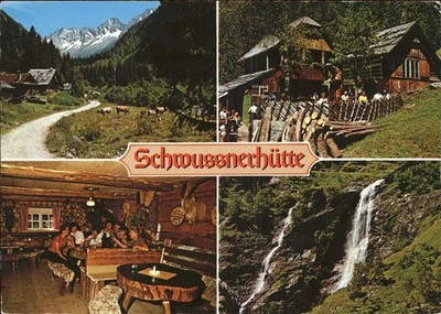 Mallnitz Kaernten Schwussnerhuette Seebachtal waterfall cattle pasture cow