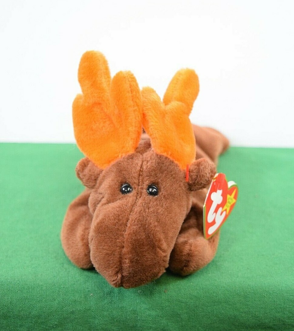 TY Beanie Baby Chocolate the Moose for sale online | eBay