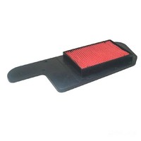 Luftfilter Hiflo HFA1211 FüR Honda NSS 250 Jazz ES Bj. 2001-2004
