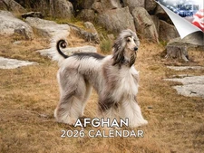 Afghan Hound Dog Breed Calendar 2026 12x18 Made in USA
