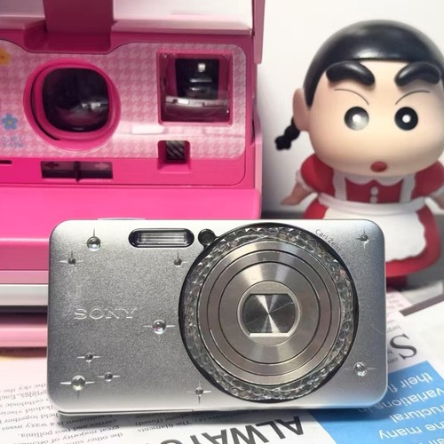 Sony Cyber Shot DSC-W570D Digital Camera 16.1MP 5xOptical Zoom AE/FE Lock Silver