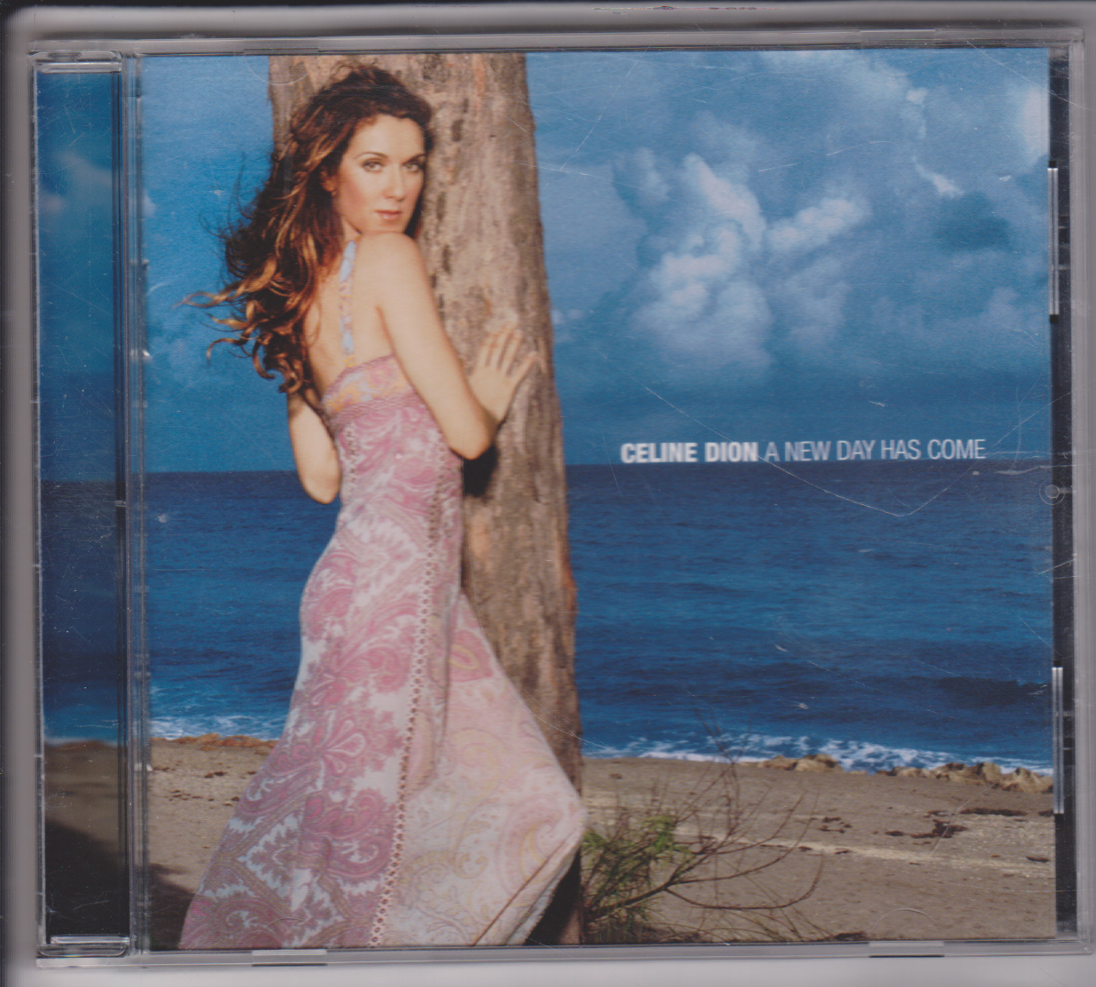 Céline Dion – A New Day Has Come (CD)