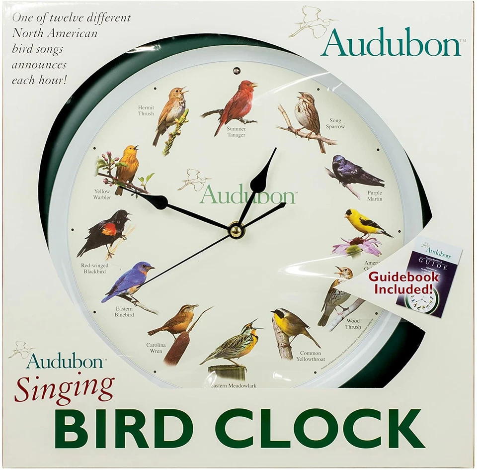 Reloj de sonido de pared Audubon Society Singing Bird, 13 pulgadas, verde Foto 3 de 4