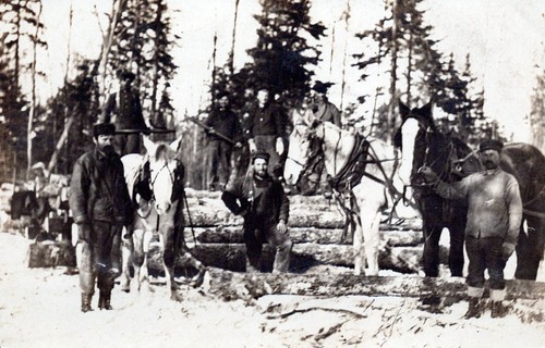 Escena de registro - Smith Lake, Minnesota - RPPC sin publicar - Imagen 2 de 3