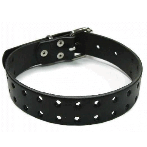 Halsband gelocht (30) Schnallen Lederhalsband Lederriemen Leder Riemen Lederband - Bild 1 von 1