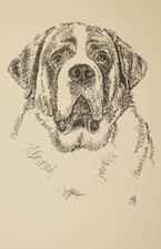 Saint Bernard Dog Breed Art Print #82 - Artist Kline will add dogs name free.