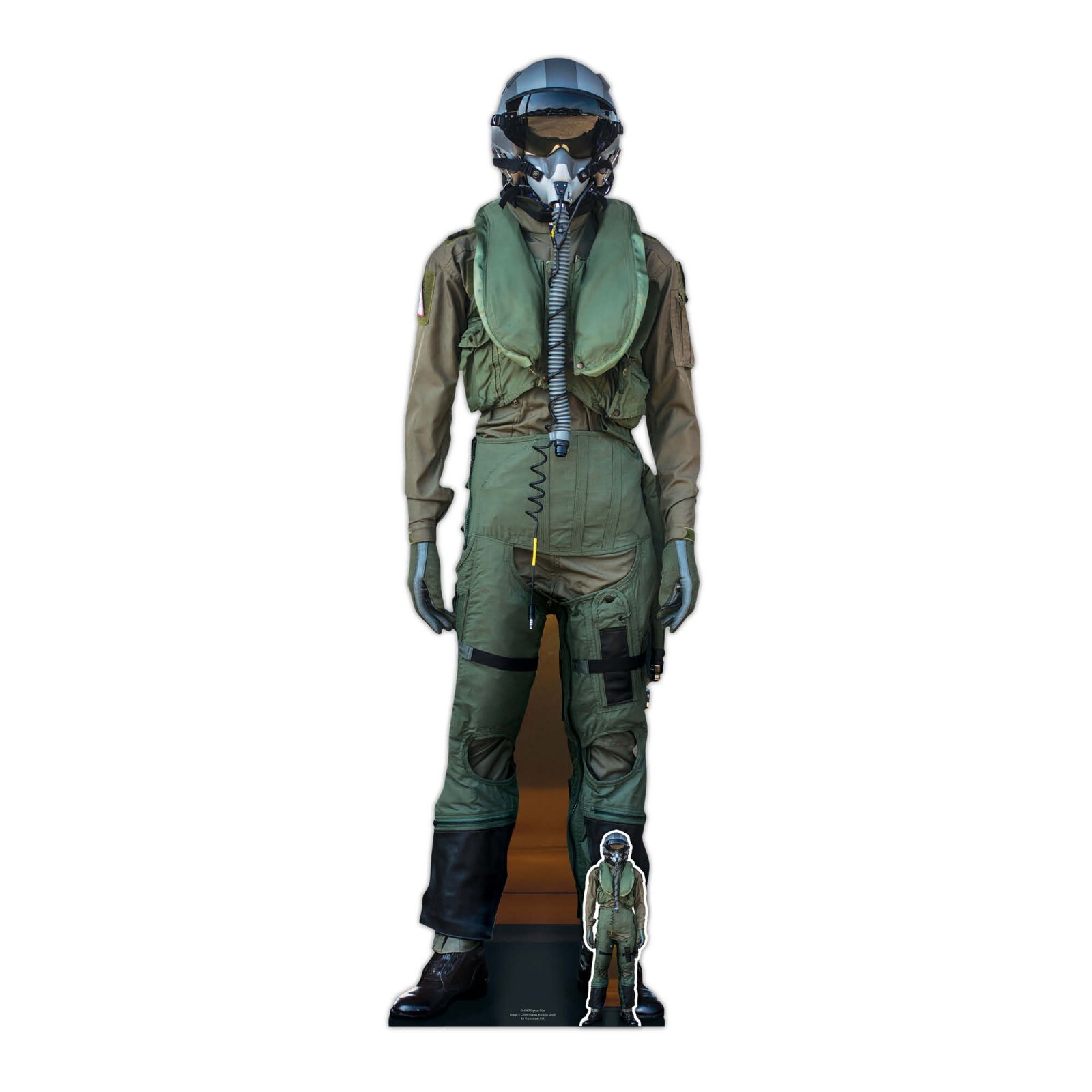 Fighter Pilot Cardboard Cutout with Free Mini Standee / Standup