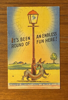 わんこページ Authentic Vintage Funny Dog Postcard! 1943! a01521 | eBay