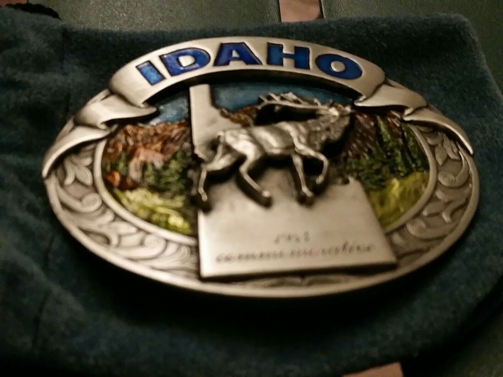 Picture 1 of 12