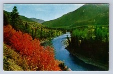 VINTAGE GRAND CANYON OF SNAKE RIVER, WYOMING~JACKSON HOLE POSTCARD CG