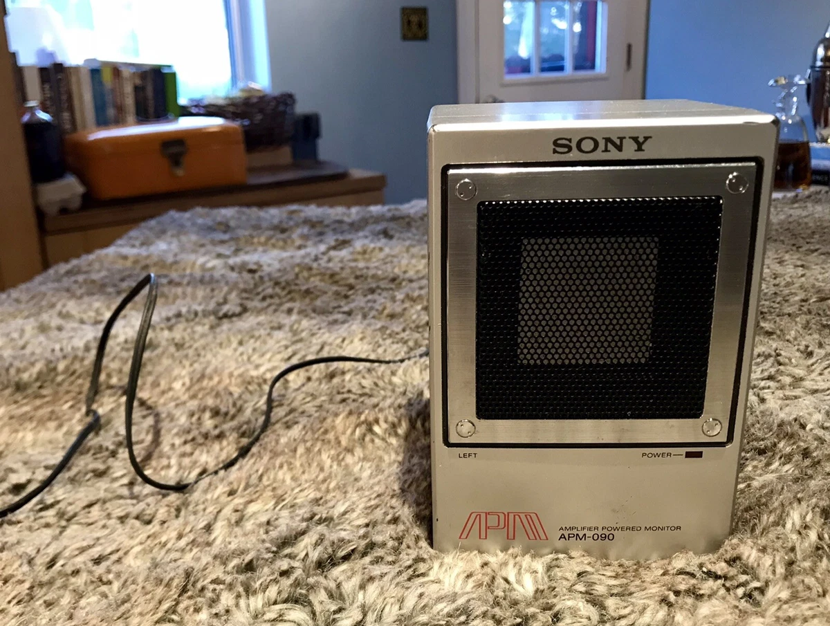 Single speaker best sale amplifier