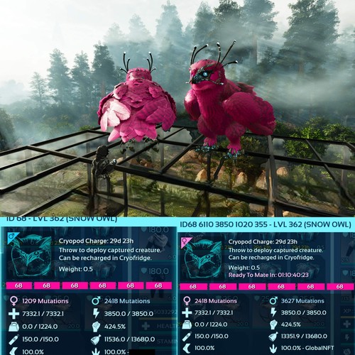 Ark Survival Ascended Pve Snow Owl Healer Max Level 362 / Solids / TOP STATS - Picture 12 of 29