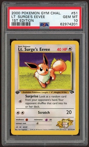 Lt. Surge's Eevee (1st Edition) graded PSA 10 for sale on eBay