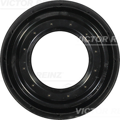 VICTOR REINZ (81-31377-00) Wellen-, Simmerring Differential für BMW