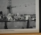 Picture 8 of 9