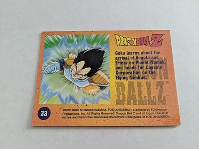 Dragon Ball Z Toei Animation 2000 Bird Studio Holochrome #33 Goku