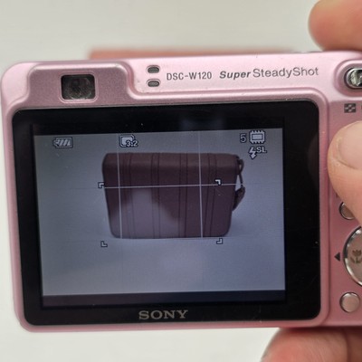 Sony Cyber-shot DSC-W120 7.2MP 4x Optical Zoom Digital Camera Pink