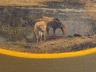 Carl Brennir Oil Painting — photo 4