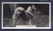 KEESHOND - Original 1930's Photographic Cigarette Card