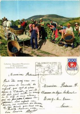 CPM Collection Beaujolaise-Maconnaise et Bourguignonne FOLKLORE (732755)