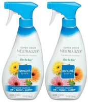 Renuzit Super Odor Neutralizer Air Freshener Spray After The Rain 13 Oz-2 Pk 2 on sale Renuzit Super Odor Neutralizer Air Freshener Spray After The Rain 13 Oz-2 Pk 2 on sale