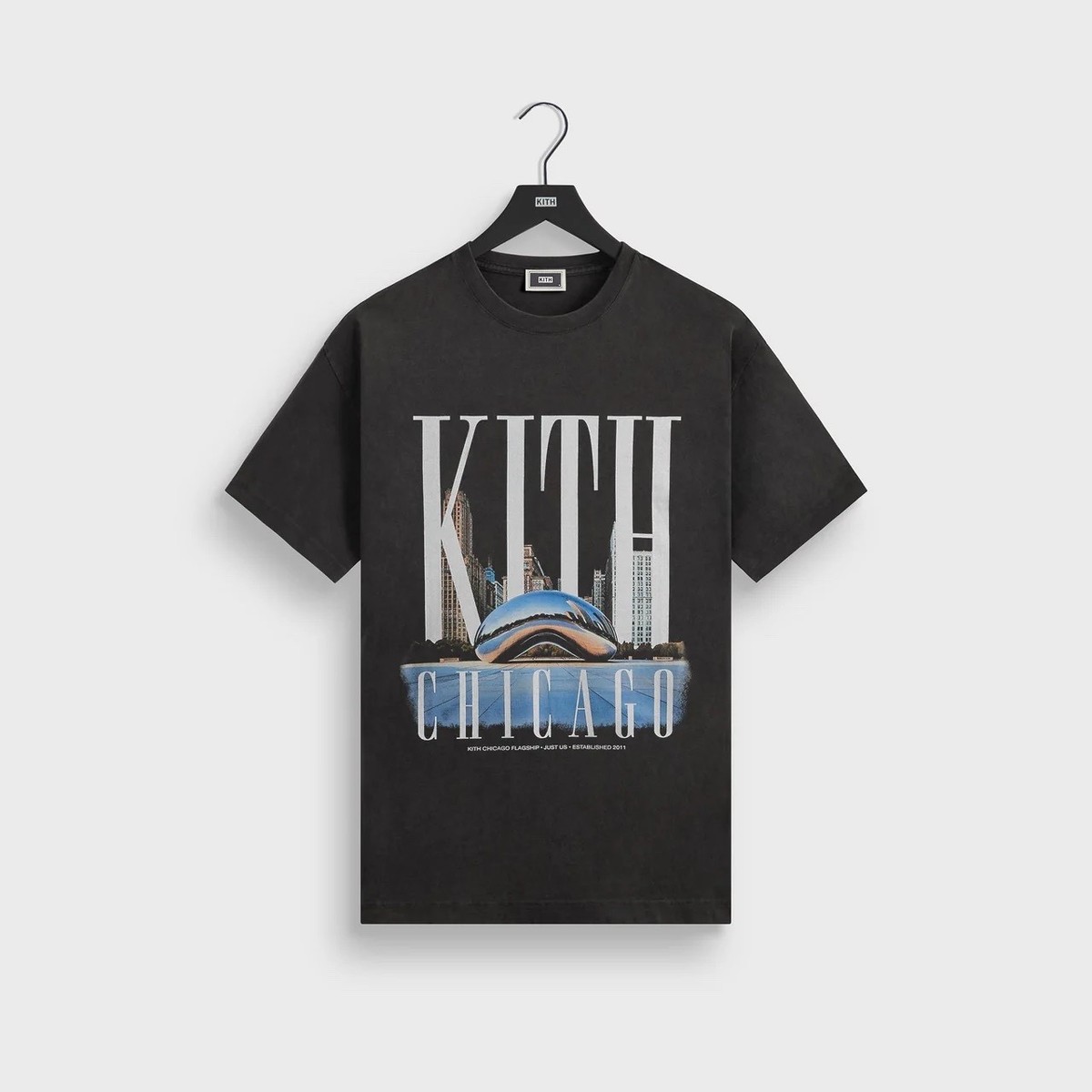 FW25 | Kith Chicago Millenium Park Vintage Tee | XS-2XL | IN STOCK