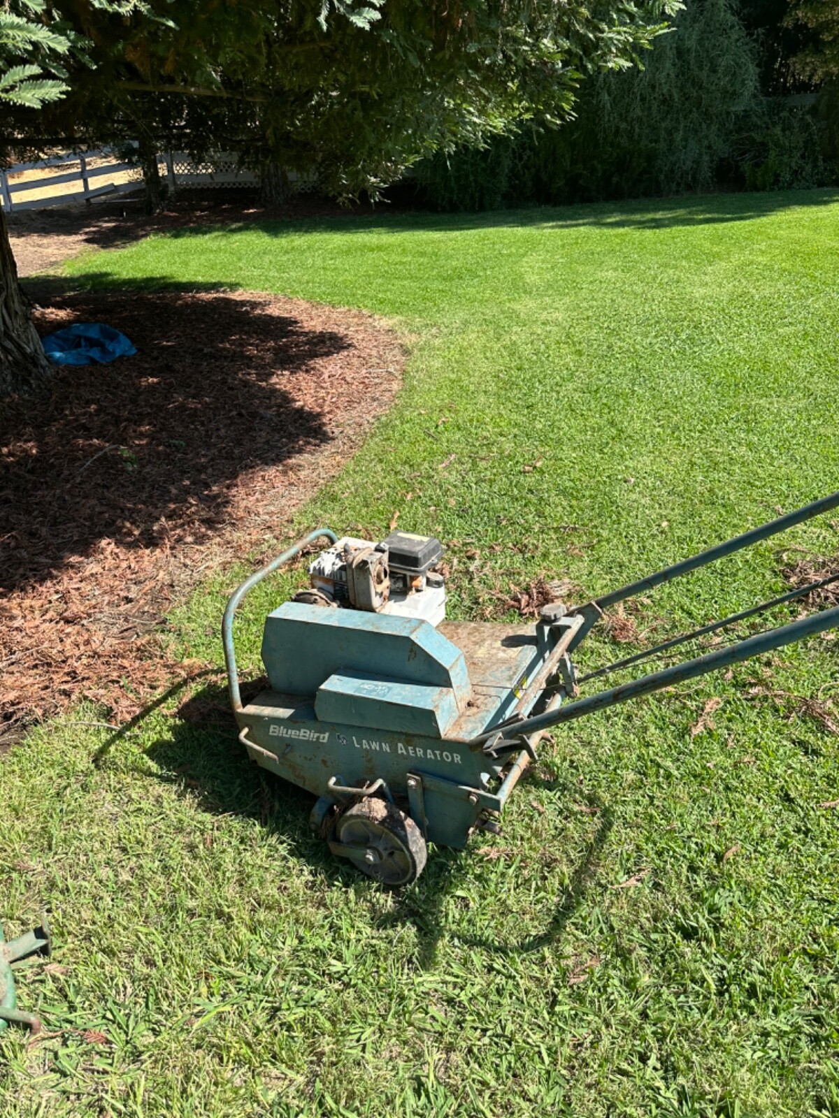 Blue bird lawn aerator eBay