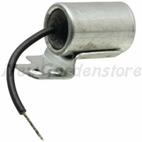 Kondensator Spule FüR Traktor RasenmäHer Briggs&Stratton 298060