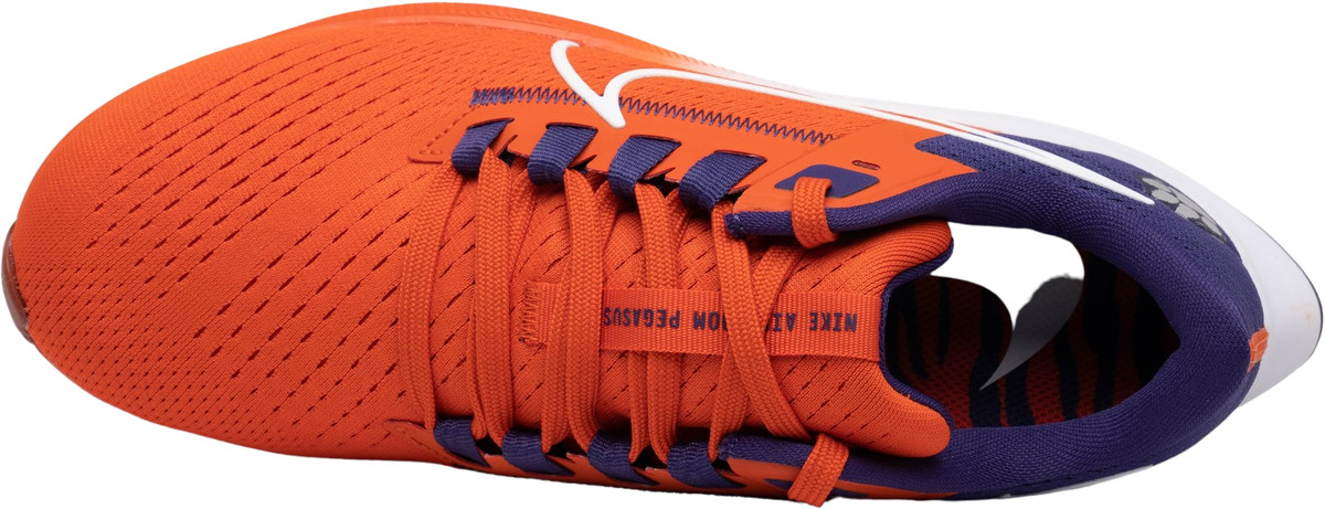 clemson air pegasus