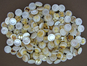 Vintage Buttons Diminutive Baby Doll Tiny Shell MOP 130 Matching Self Shank