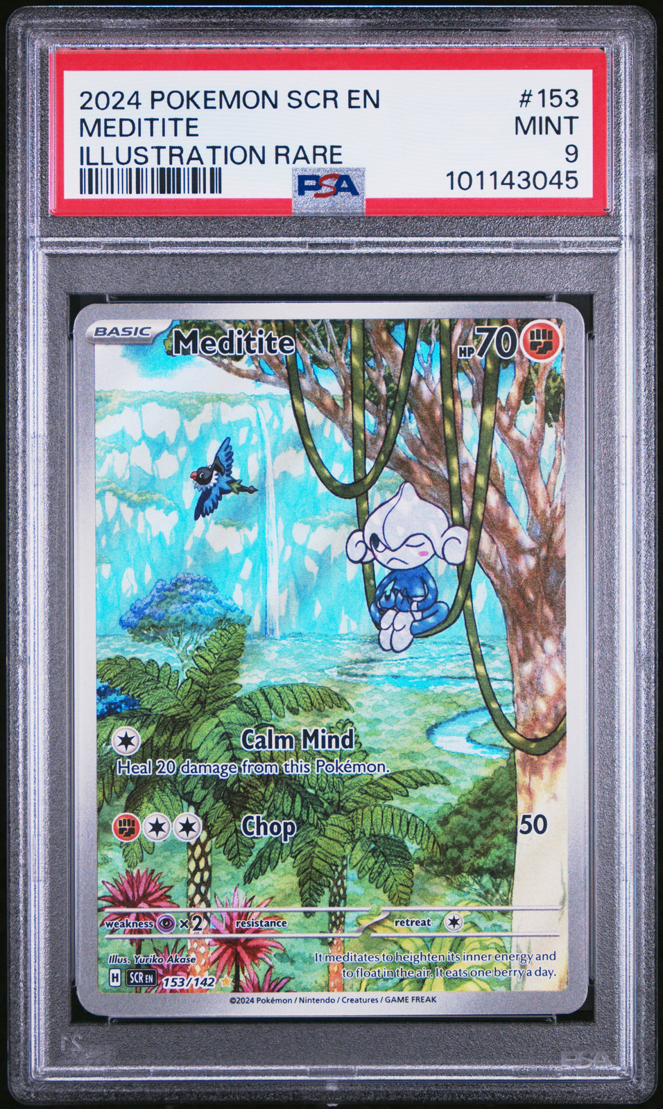 Meditite #153