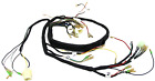 <!--F#f_0-->Fits Yamaha DT125 Wiring Harness Electrical System 1994 And Older Loom<!--F/-->