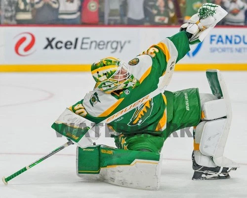 Minnesota Wild JESPER WALLSTEDT Glossy 8x10 Photo NHL Hockey Print Poster