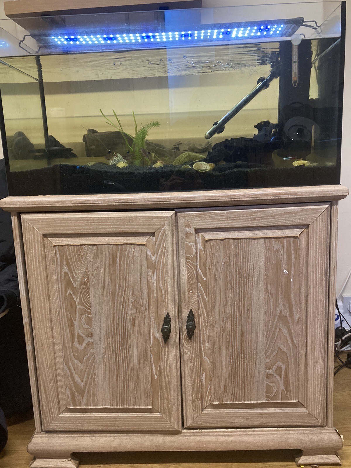 fish tank eBay