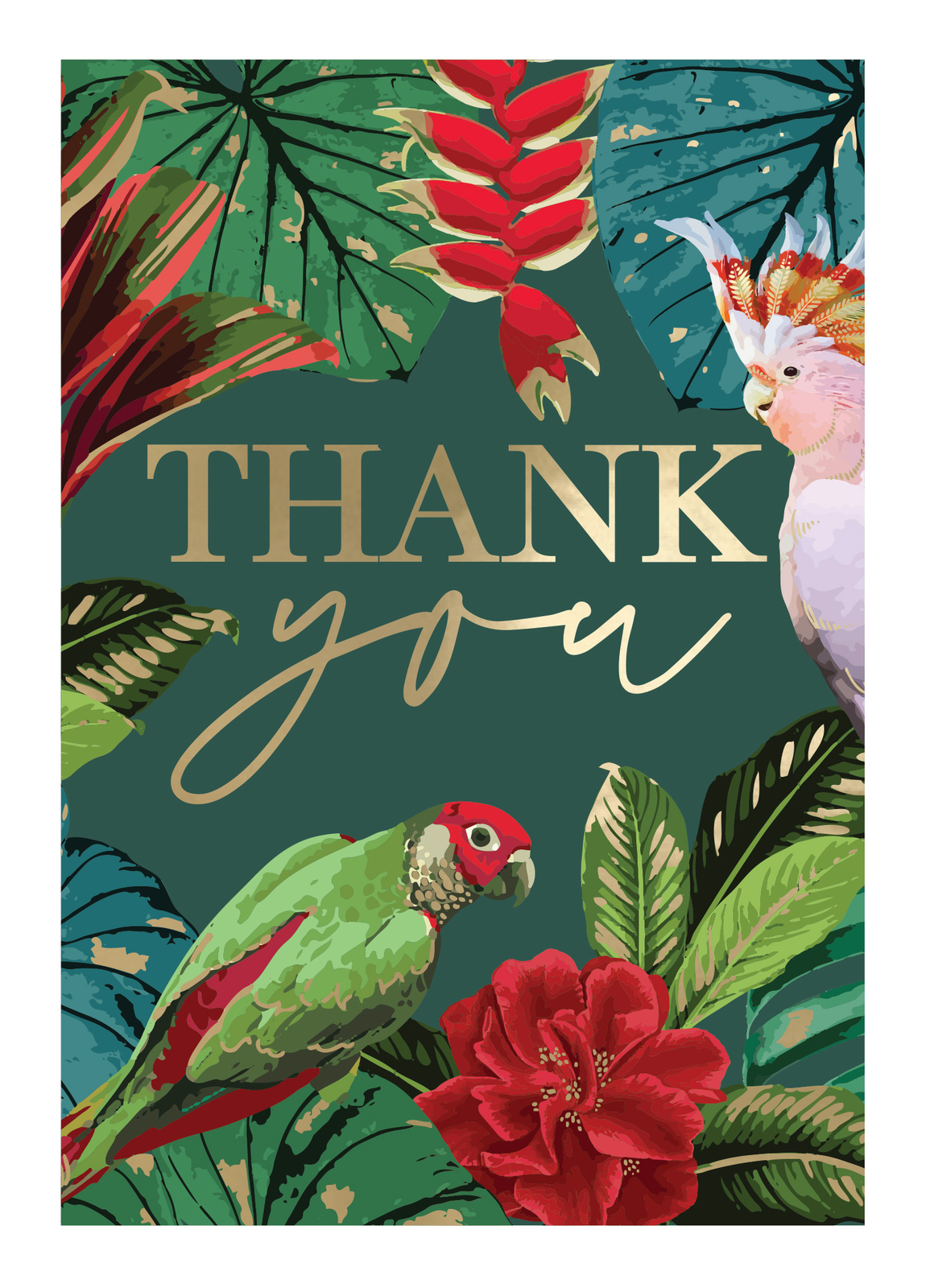 Embossed Tropical Parrots Thank You Card Foiled Portobello Greeting Cards