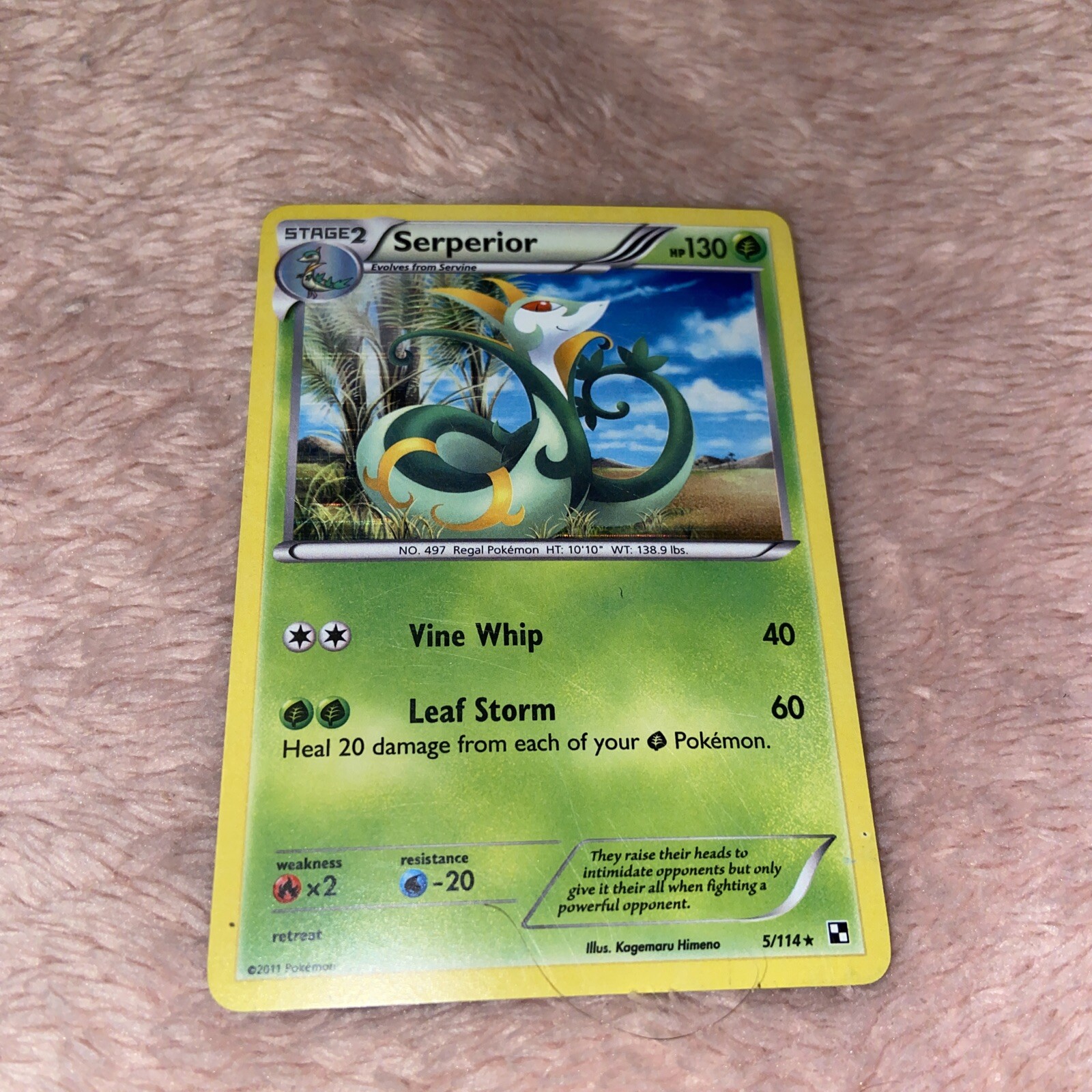 Pokemon Serperior 5/114 Holo Rare Black & White NM