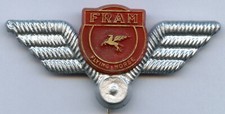 Sweden Vintage Advertising Motorcycle FRAM Flying Horse Plastic Badge Pin Nice !